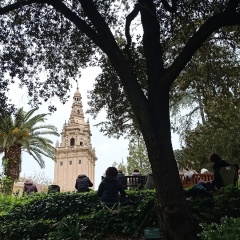 IMG20260412113111