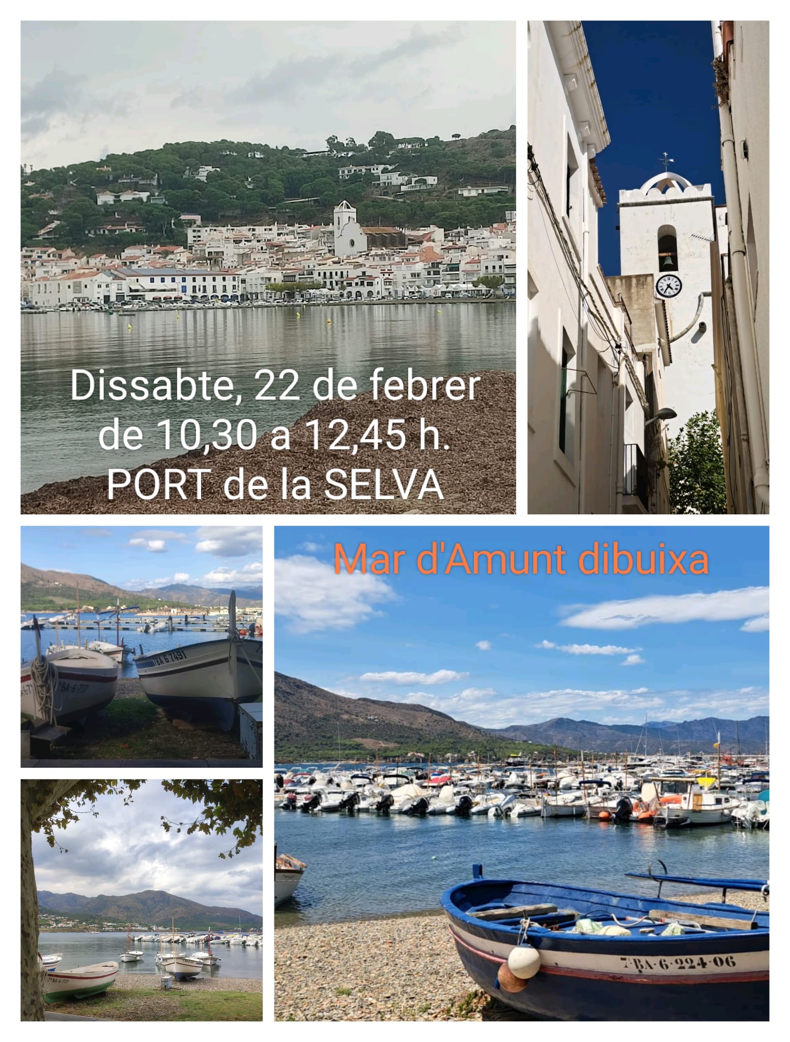 Mar d'amunt dibuixa - Port de la Selva