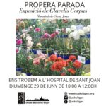 USk Sitges - Exposició de Clavells