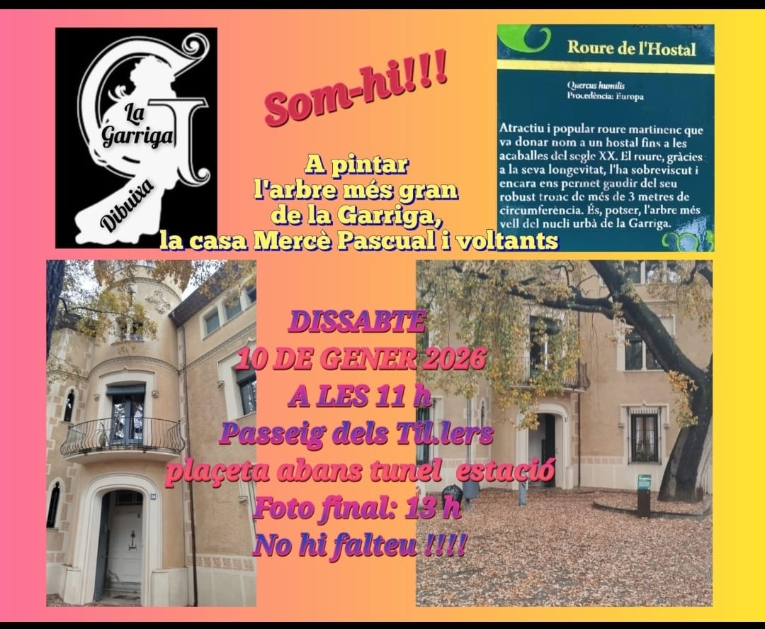 La Garriga Dibuixa. L’arbre més gran de La Garriga. Casa Mercè Pasqual.